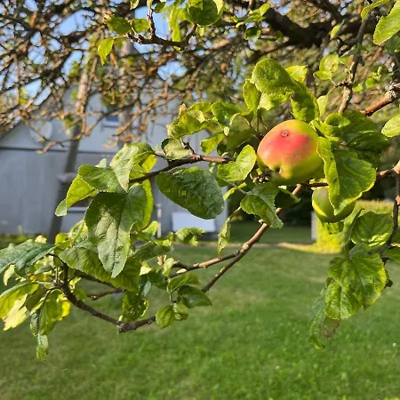 2 Bedroom House And Sauna In *