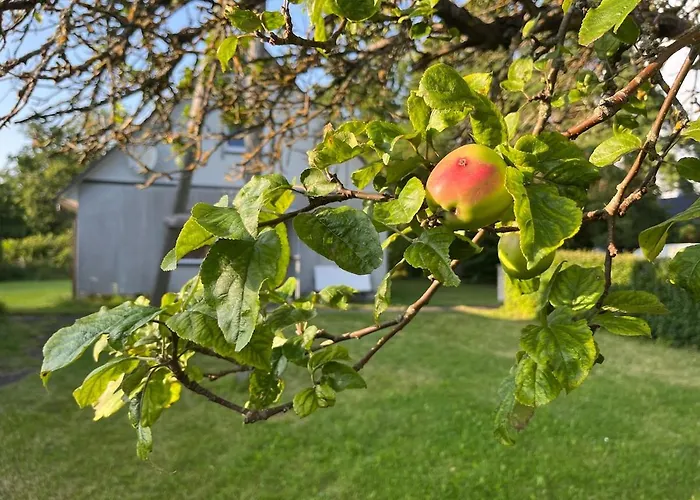 2 Bedroom House And Sauna In *